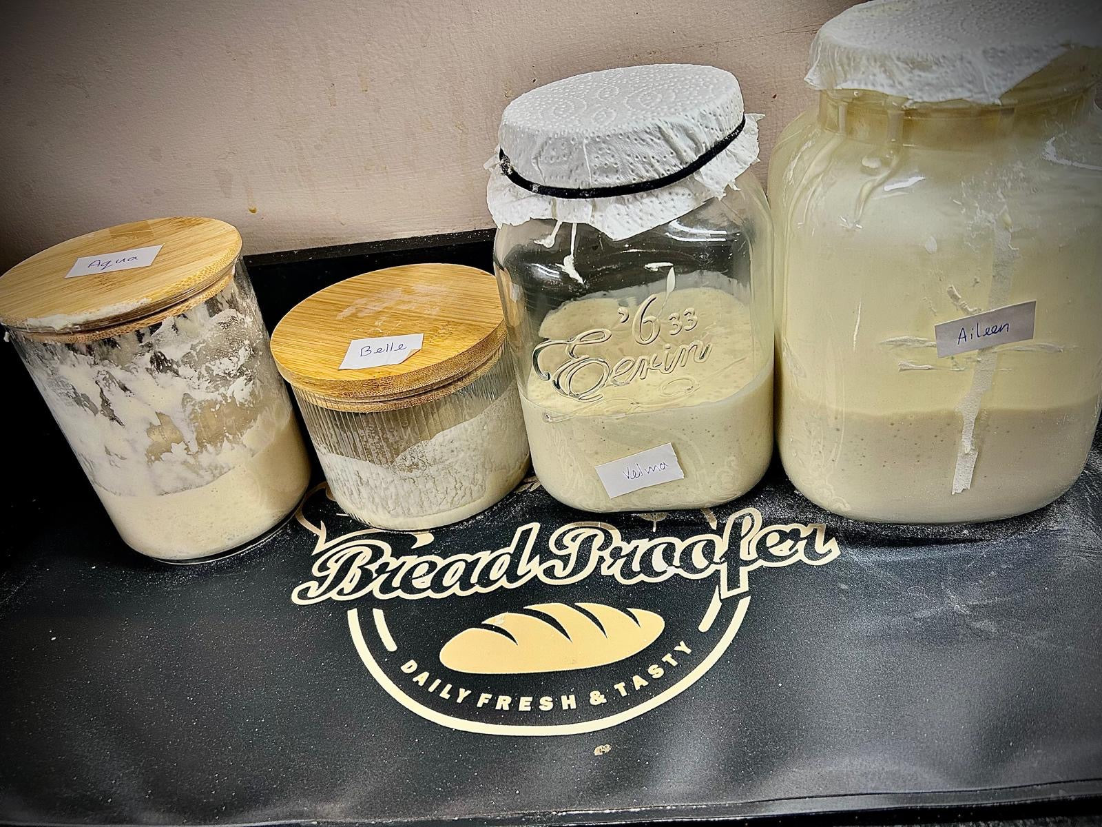 Jars of dough on a bread proofing board with 'Bread Proofer' branding.
