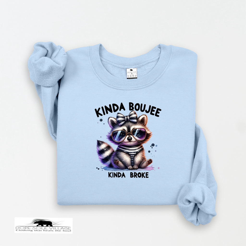 Light blue sweatshirt with a raccoon graphic and text on a white background
