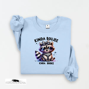 Light blue sweatshirt with a raccoon graphic and text on a white background