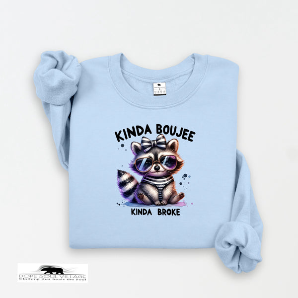 Light blue sweatshirt with a raccoon graphic and text on a white background
