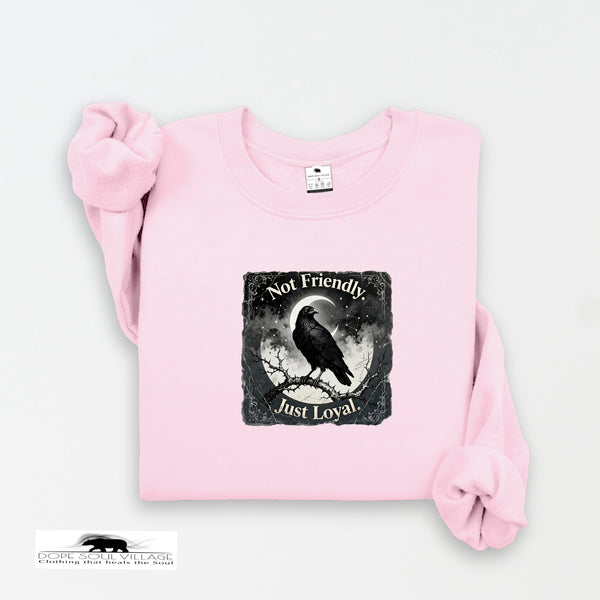 Not Friendly, Just Loyal | Crow Collection Sweatshirt 🖤✨ | DSV