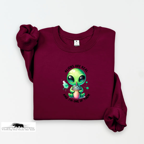 Maroon sweatshirt with a green alien graphic and text on a white background