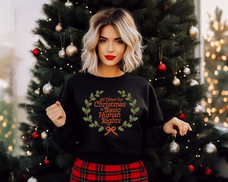 All I want for Xmas isn Basic Human Rights | Christmas Sweater | Dope Soul Village