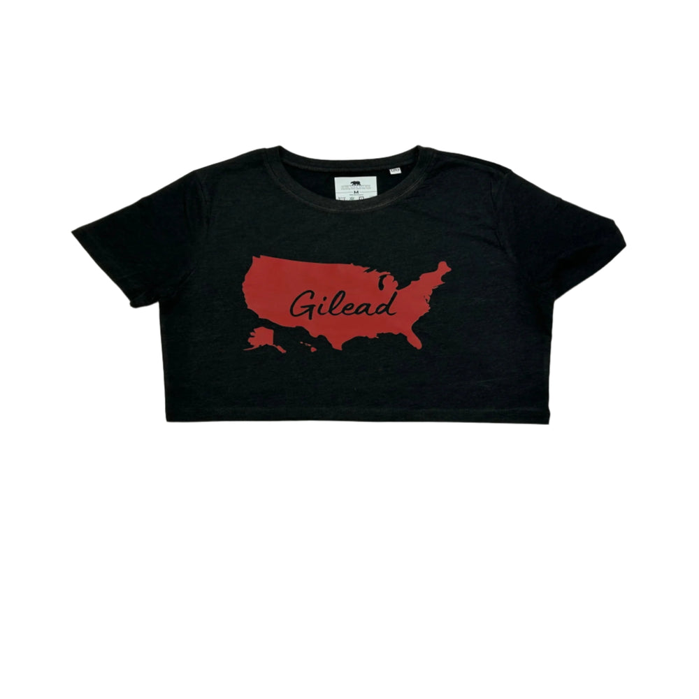 Gilead Inspired | Feminist Unisex Crop | Dope Soul Village 