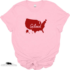 USA is Gilead | Handmaid Tale inspired | Feminist T-shirt | Dope Soul Village