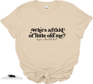 Who’s Afraid of Little Old Me? | Taylor Swift Collection | Dope Soul Village