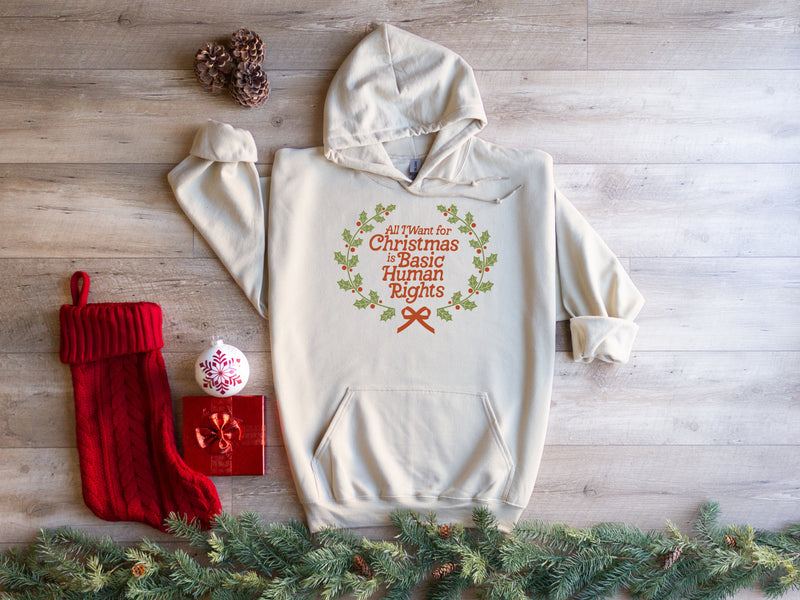 All i want is basic Human Rights | Christmas Feminist Unisex Hoodie| Dope Soul Village