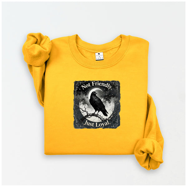 Not Friendly, Just Loyal | Crow Collection Sweatshirt 🖤✨ | DSV