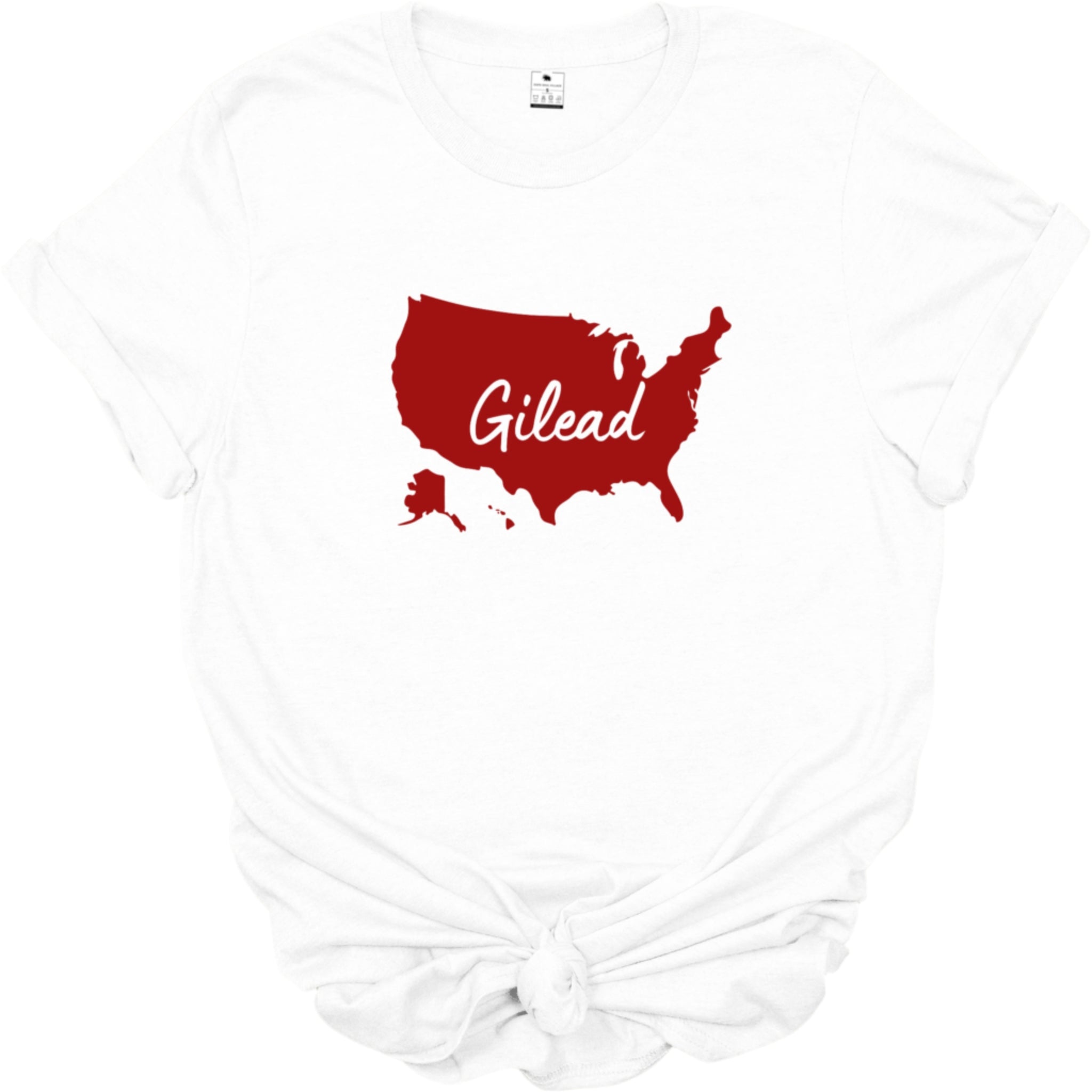 USA is Gilead | Handmaid Tale inspired | Feminist T-shirt | Dope Soul Village